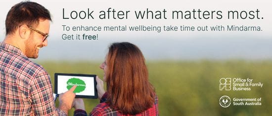 Free mental health program for small and family businesses